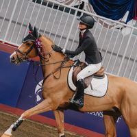 why did this blow up