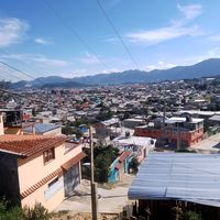 teo_6537