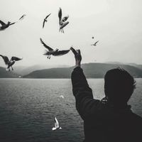 original sound - Vath 万