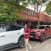 nhạc nền - 🐰