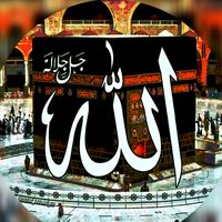 networkislamic327
