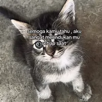 original sound - babyakunie