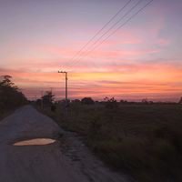 carlos.gamas58