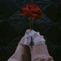 shammi_fp
