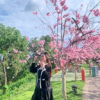 suara asli - Nurul Amelia Ningsih🔘