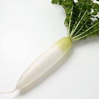 1111111111a11111
