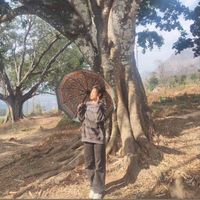yunkanrung5