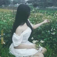 nhạc nền - Gấu🐻