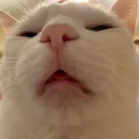 iiiiiilllll______03_____
