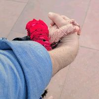 syed_zadii30