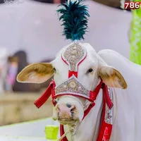 original sound - uzair_islam_09