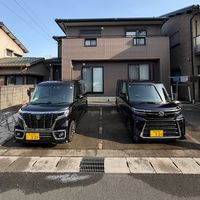 y.t.t5231113