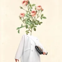 original sound - msbsmh