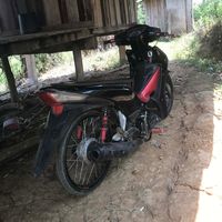 rppv141