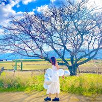original sound - may zin win