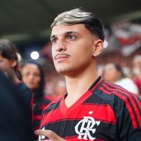 rafachagasm