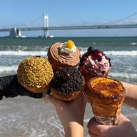 busan_guide