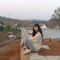 hnaung203