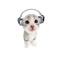 오리지널 사운드 - .