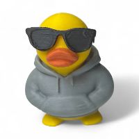 chillduck73