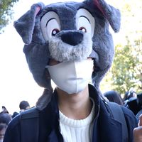 akipiman