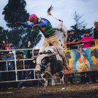 elgallito922