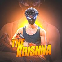 thekrishna010