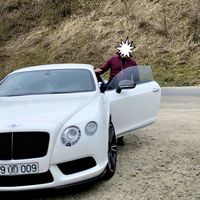 alizadeh___009