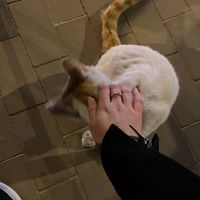 onllylove1