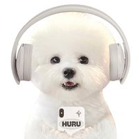 huru_bichon_