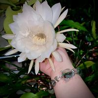 angel_diy18
