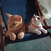 kaew_jira_1
