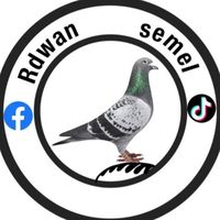 rdwansemel1997