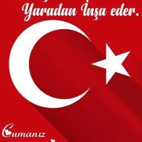 an_yd1