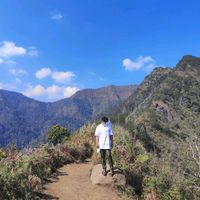 suara asli - cibol mio