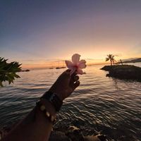 _matadre101