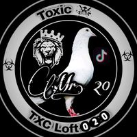 toxic___loft