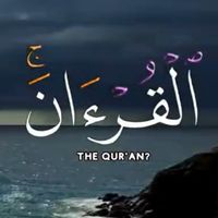 من سورة الحشر محمد الفقيه