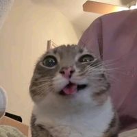 suara asli - ALETHA