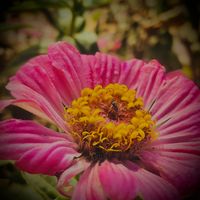 abbasiwrites64
