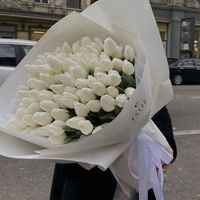 shabnamlefou_