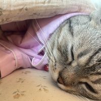 เสียงต้นฉบับ - Kanisorn Sawaengdee