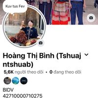 tshuagtshuab