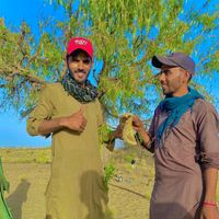 shahabthari4