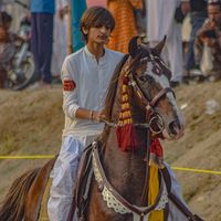muhammadsherazi19
