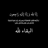 amir.456dz1