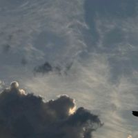beritan_21211