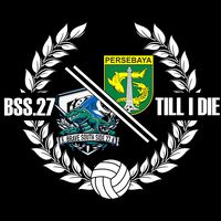 brave.south.side