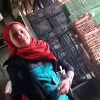 الصوت الأصلي
