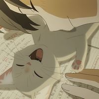 _kyoara